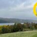 Aviva Backs Boleskine Plans to Plant the Largest Wildflower Meadow in Loch Ness